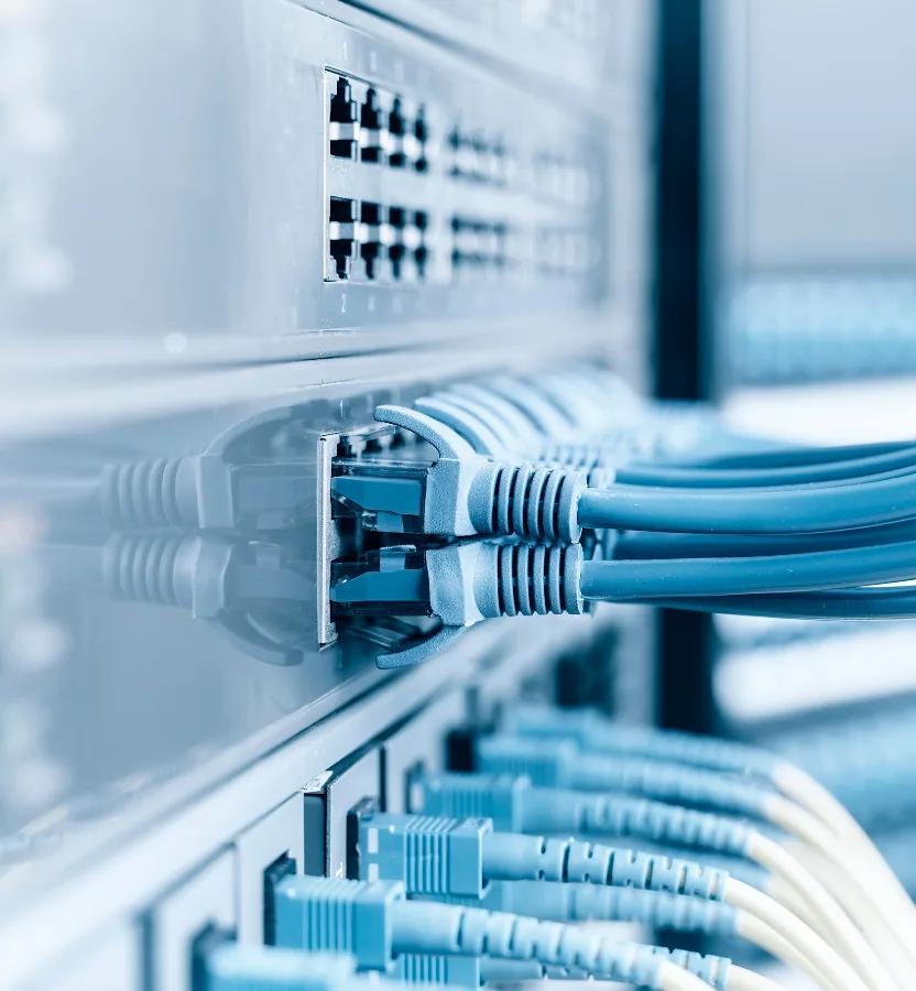 Patch cables plugged into a network switch