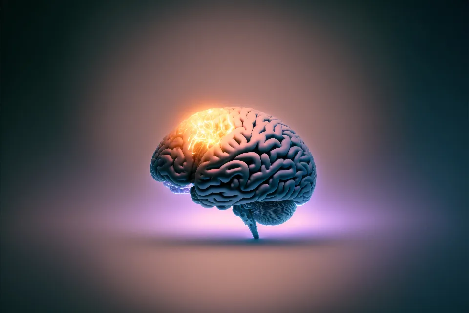 Illustration of a brain lit up on a dark background